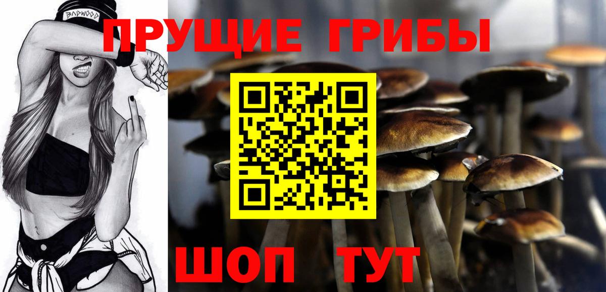 Галлюциногенные грибы Magic Shrooms  где купить наркоту  Салехард  Вход с VPN 